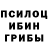 Галлюциногенные грибы GOLDEN TEACHER Kamil Olczak