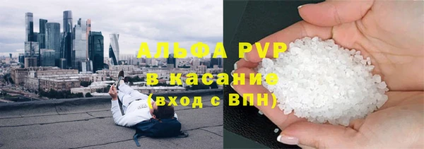 эйфоретик Покачи