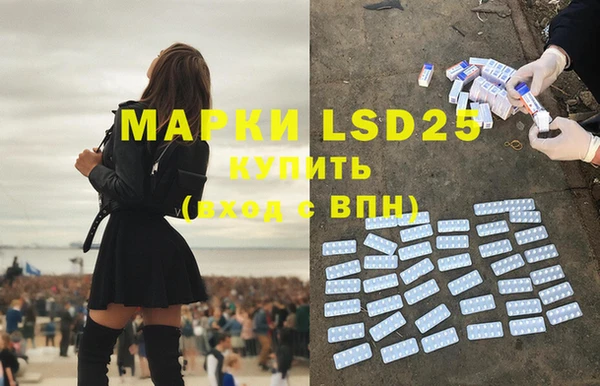 ПСИЛОЦИБИНОВЫЕ ГРИБЫ Балабаново