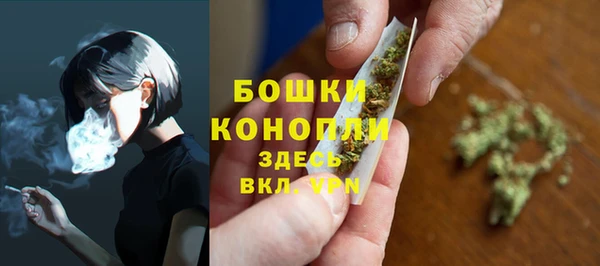 ПСИЛОЦИБИНОВЫЕ ГРИБЫ Балабаново