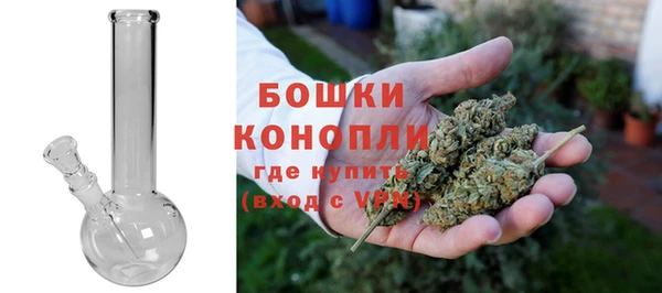 молекула духа Сосновый Бор